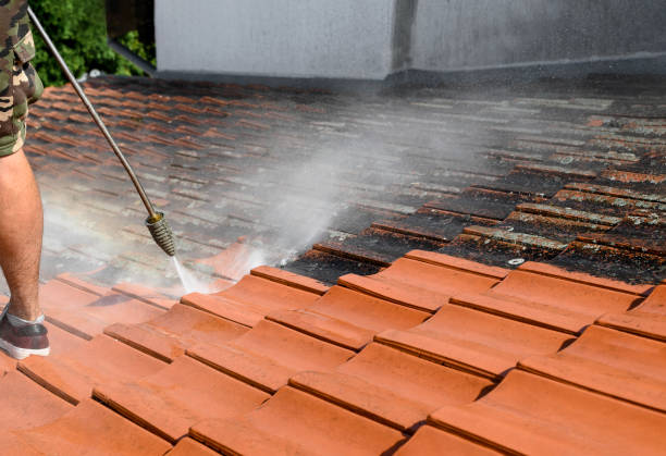 Professional Pressure Washing in Centennial Park, AZ
